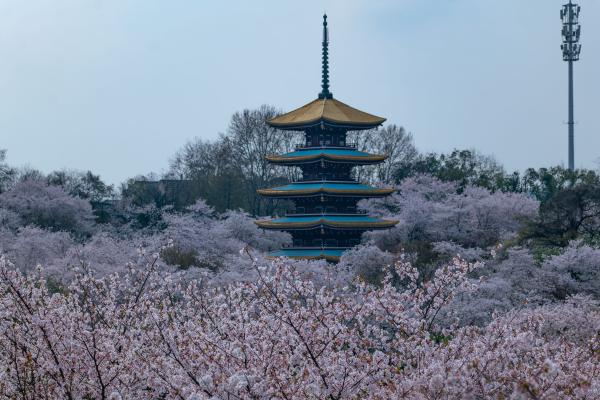 武汉 - 2024年3月